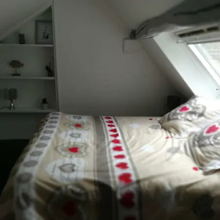 Appartement Bienvenue Sous Les Toits De *** Hypercentre *